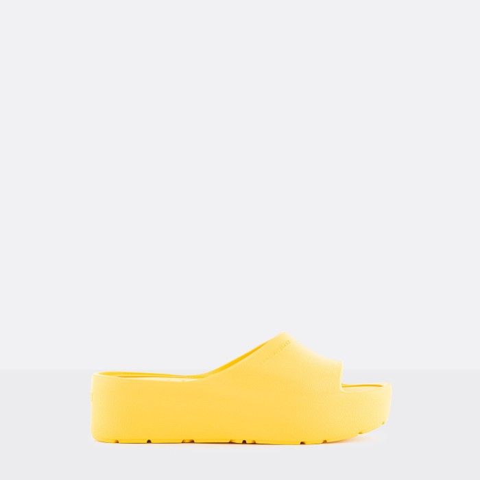 Sunny Vibrant Yellow