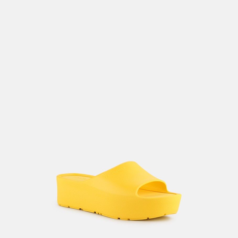 Sunny Vibrant Yellow