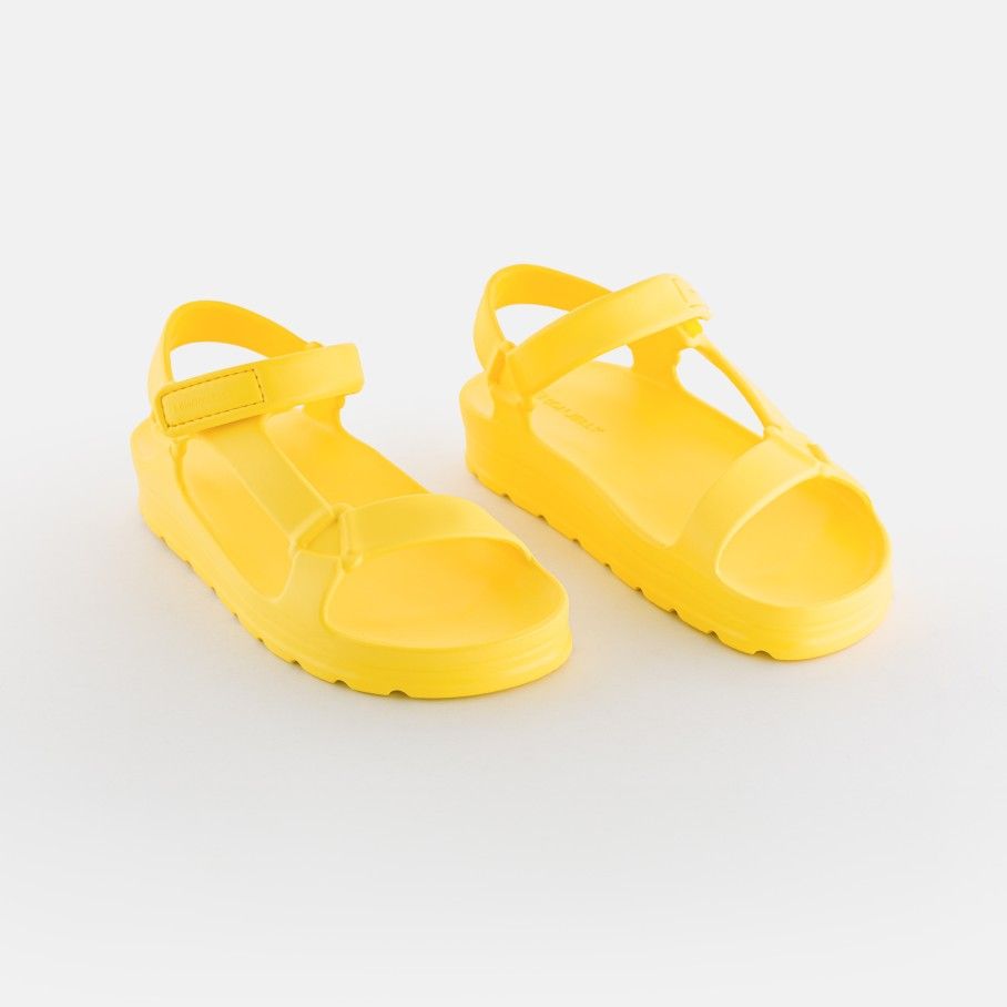 Nola Yellow Bee