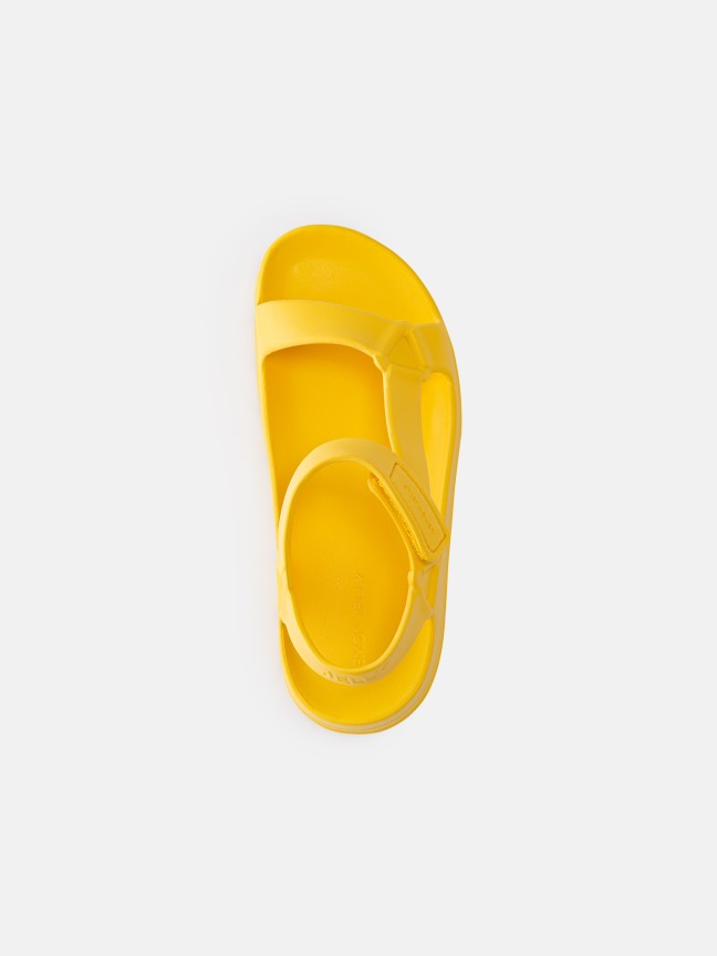 Nola Yellow Bee