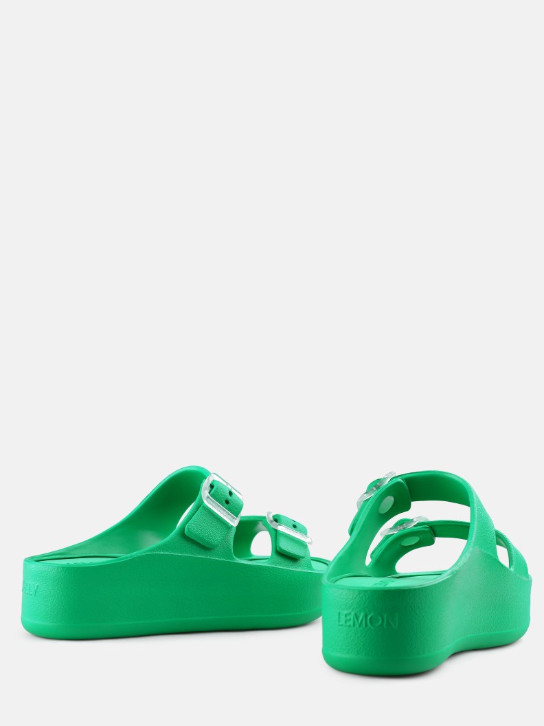 Fenix Oasis Green
