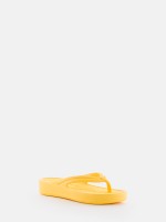 Mare Yellow Bee
