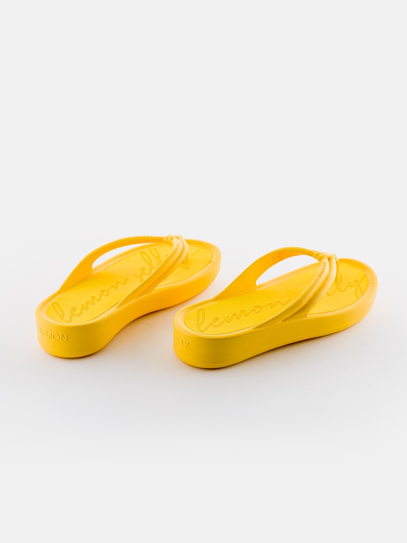 Mare Yellow Bee