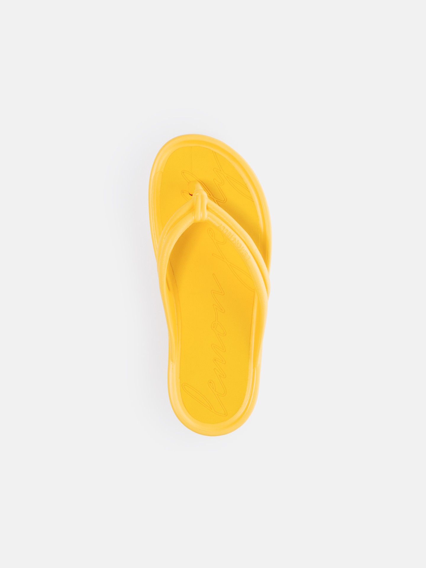 Mare Yellow Bee