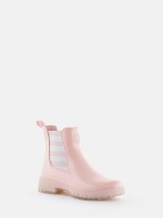 Maremma Cotton Candy Maremma Cotton Candy