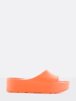 Sunny Tangerine Sunny Tangerine