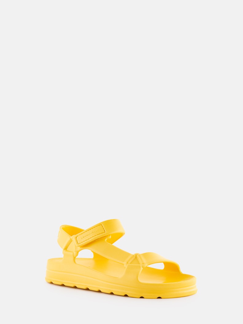 Nola Yellow Bee