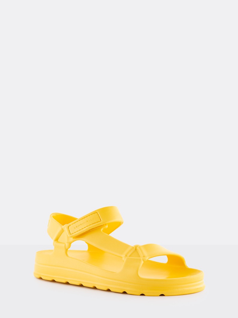 Nola Yellow Bee