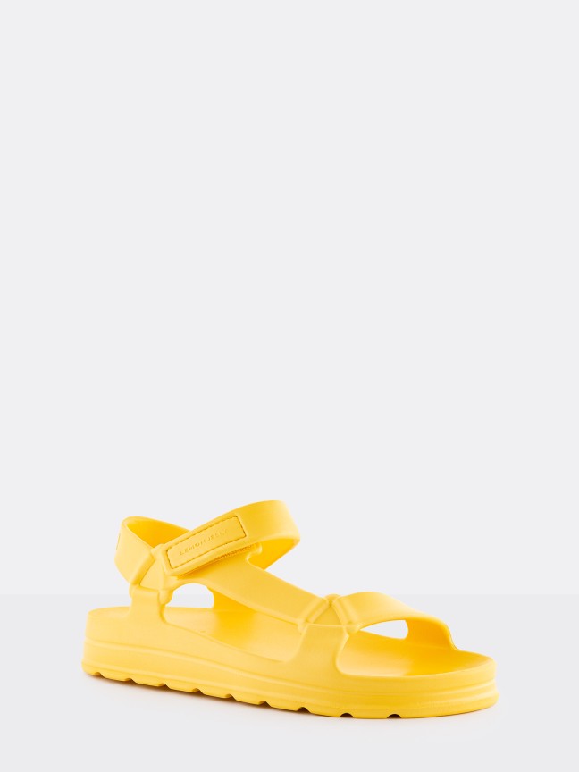 Nola Yellow Bee